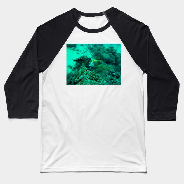 coral reef and fish - underwater Baseball T-Shirt by likbatonboot